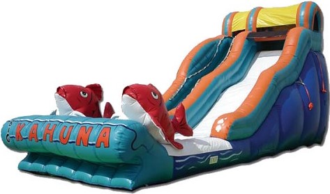 20 Ft Tall Water Slide Rentals in Massachusetts CT RI