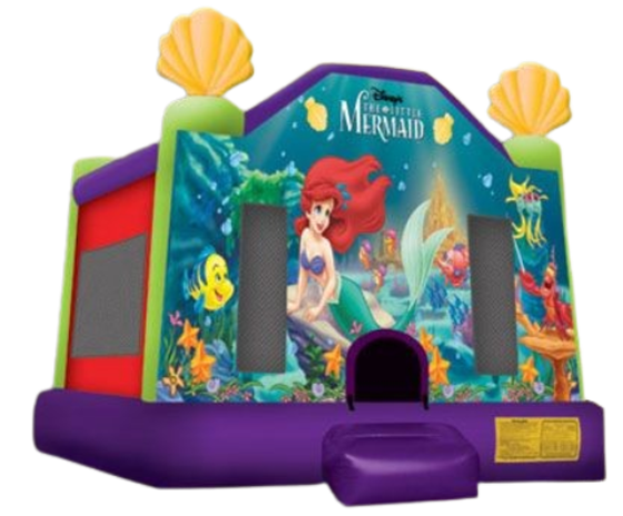 Disney Cars Bounce House Rental